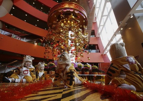 Người dân Đài Bắc (Đài Loan) đi chợ tết. Ảnh:Reuters Trẻ em Hong Kong tham gia cuộc thi bò trong trang phục ông hổ để chào đón năm Canh Dần. Ảnh Reuters Triển lãm tranh hổ ở Seoul, Hàn Quốc để chào đón năm Hổ. Ảnh:Reuters Người dân Bắc Kinh đang chọn mua ông Cọp để đón năm mới. Ảnh: cctv.com Cọp đang trở thành món quà lưu niệm được ưa chuộng ở Manila, Philippines. Ảnh: thestar.com