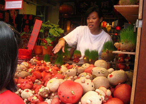 Phố Tàu Singapore rộn ràng đón Tết ảnh 7