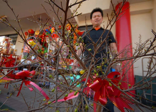 Cali chuẩn bị đón Tết ảnh 10