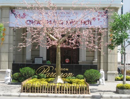 Trang trí bên ngoài TTTM Saigon Paragon Hoa đào rực rỡ Triển lãm cây đào to nhất Việt Nam Các chương trình mua sắm quà tặng hấp dẫn cho ngày lễ tình nhân Dạo xuân ở Sài Gòn