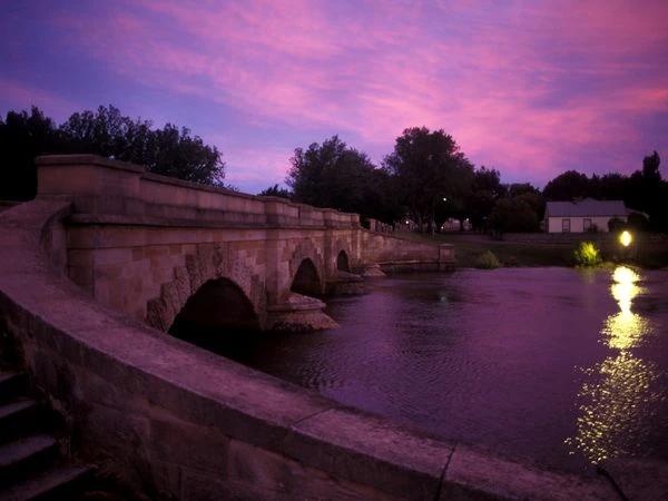 Thiên nhiên diệu kỳ trong sắc tím huyền hoặc ảnh 1