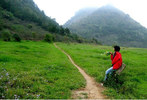 Xuân về trên cao nguyên Mộc Châu! ảnh 13