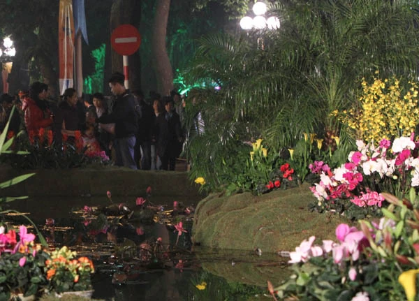 Tưng bừng khai hội phố hoa ảnh 28