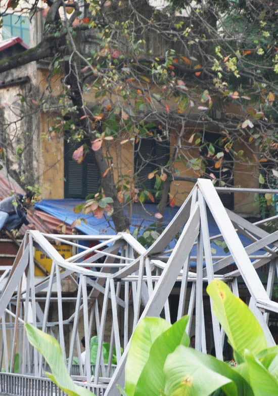 Tưng bừng khai hội phố hoa ảnh 31