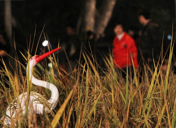 Tưng bừng khai hội phố hoa ảnh 29