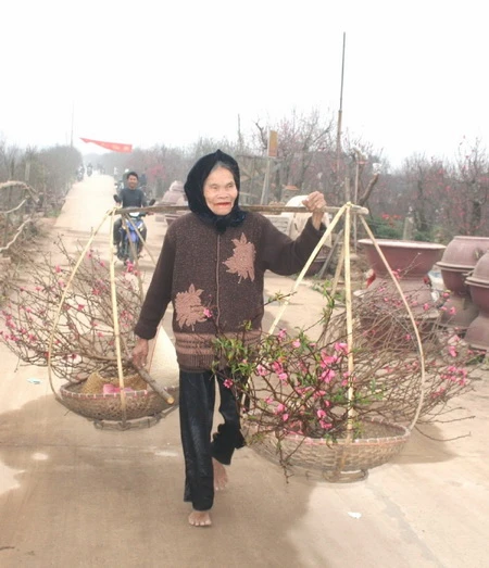 Ảnh: Lương Đình Khoa