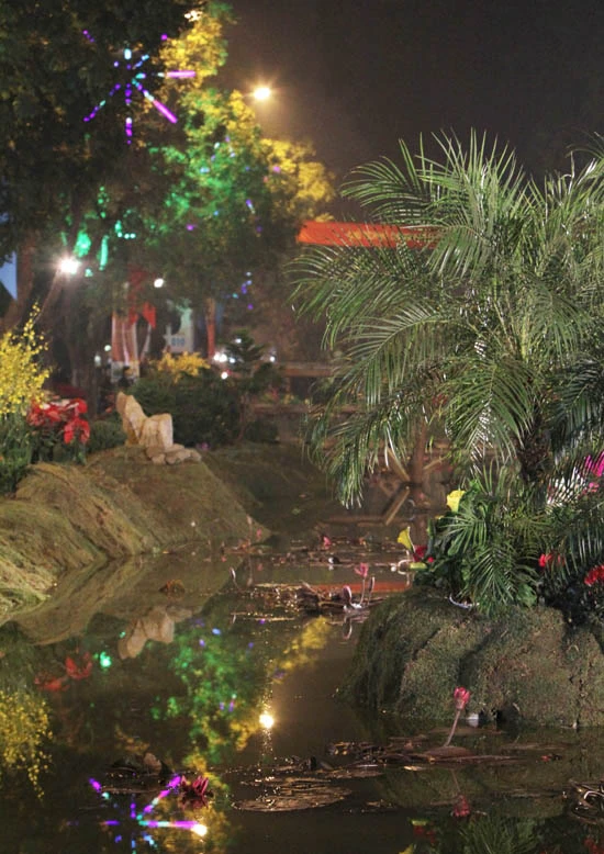 Tưng bừng khai hội phố hoa ảnh 21