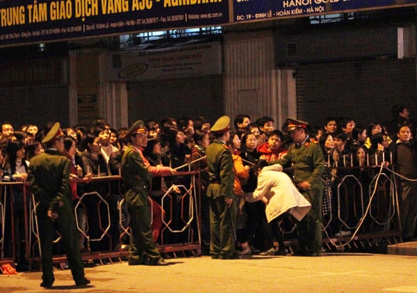 Tưng bừng khai hội phố hoa ảnh 23