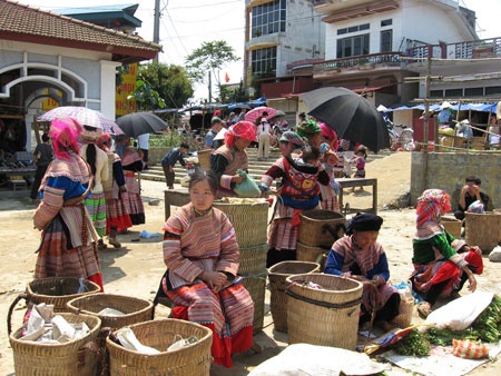 Xuân sớm trên rẻo cao Bắc Hà ảnh 2