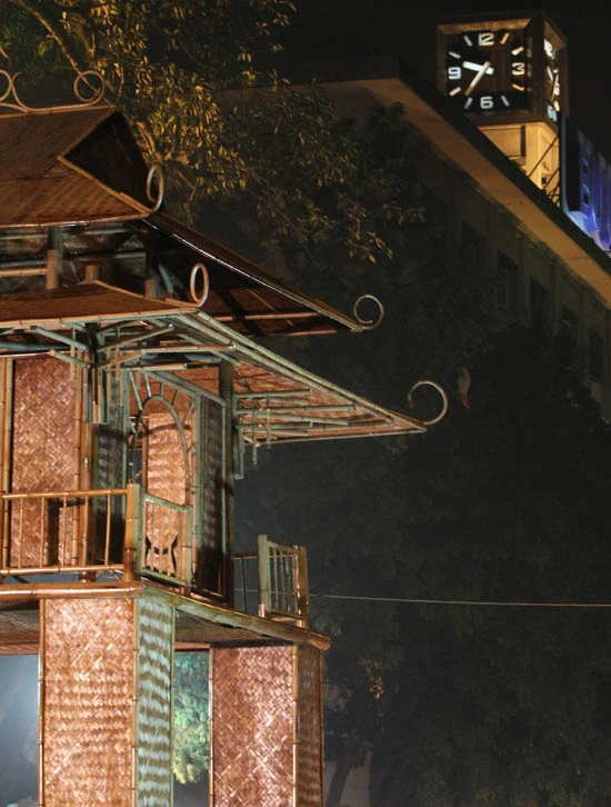 Tưng bừng khai hội phố hoa ảnh 27