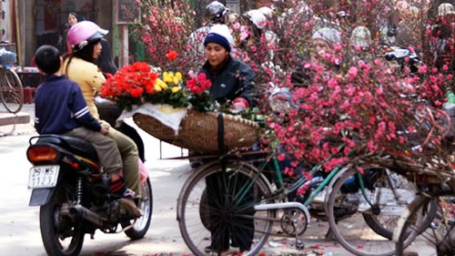 Mua hoa tết - Ảnh: Lê Bích