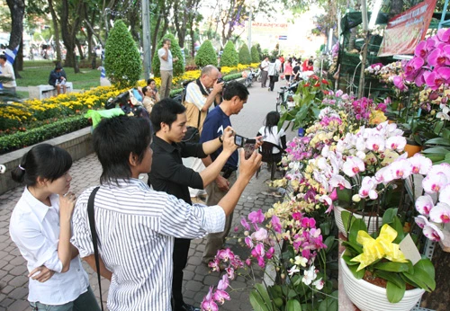 Hoa về phố ảnh 14