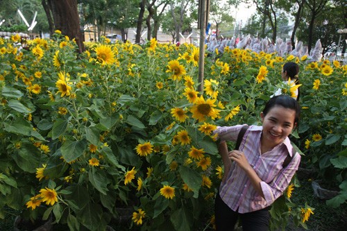 Hoa về phố ảnh 13