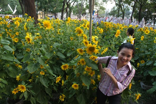 Hoa về phố ảnh 13