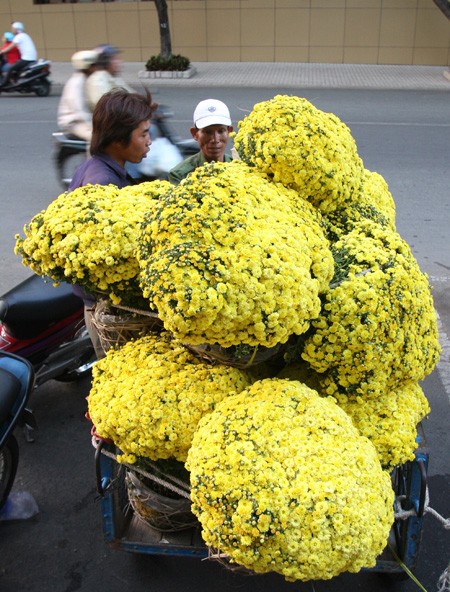 Hoa về phố ảnh 4