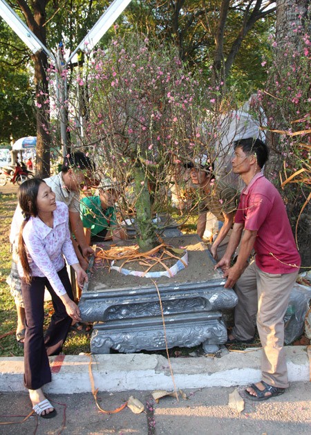 Hoa về phố ảnh 2