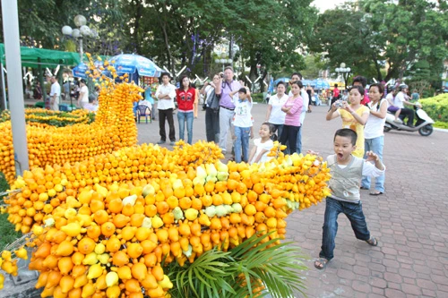 Hoa về phố ảnh 12