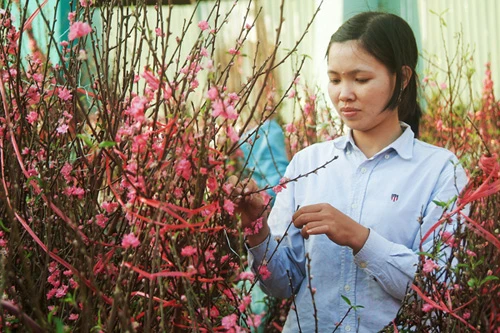 Hoa về phố ảnh 16