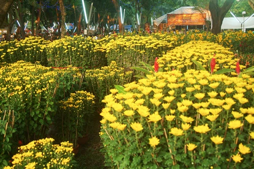 Hoa về phố ảnh 6