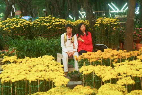 Hoa về phố ảnh 15