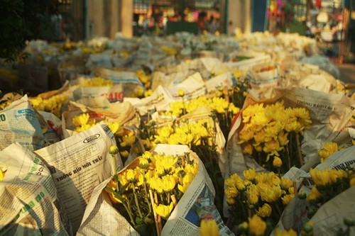 Hoa về phố ảnh 10