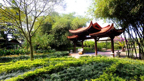 Ăn Tết ba miền trong Một thoáng Việt Nam ảnh 1