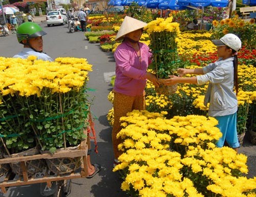 Sắc xuân tràn ngập Cần Thơ - Ảnh: Quang Vinh Sắc xuân tràn ngập Cần Thơ - Ảnh: Quang Vinh
