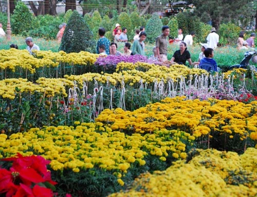 Hoa tại công viên Lê Văn Tám - Ảnh: Hoàng Thạch Vân