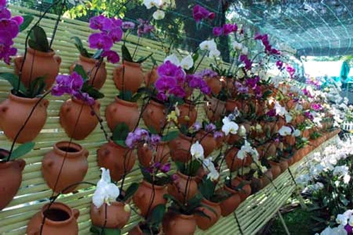 Chèn chú thích ảnh vào đây