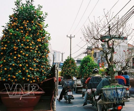 Sắc màu chợ hoa ảnh 10