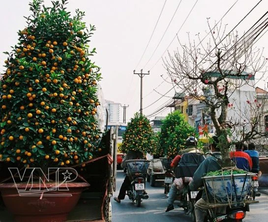 Sắc màu chợ hoa ảnh 10