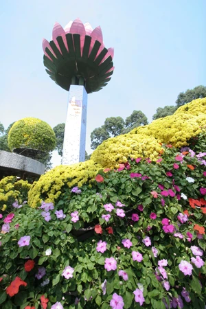 Phủ hoa cho hồ Con Rùa ảnh 4