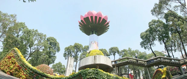Phủ hoa cho hồ Con Rùa ảnh 1