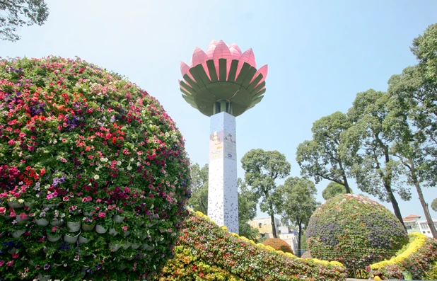 Phủ hoa cho hồ Con Rùa ảnh 2