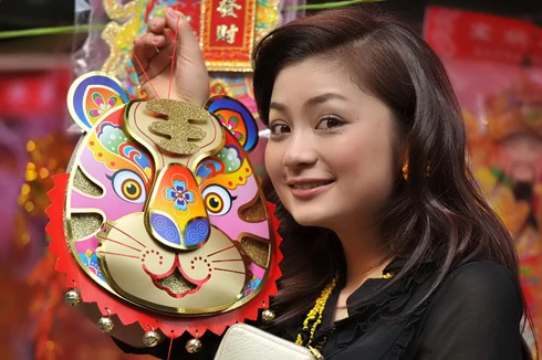 Thành phố trang hoàng đón xuân tại khu vực Hồ Hoàn Kiếm. Chị công nhân chăm sóc hoa tại vườn hồng. Đào được chở tấp nập trên đường phố. Hai cô gái dạo chơi chợ hoa Hàng Lược. Chợ hoa mới trên đường Lạc Long Quân tưng bừng trong nắng xuân. Hoa tươi được lung linh trong nắng tại một gian hàng chợ Quảng An. Phố Hàng Mã đông nghẹt người và xe. Năm Canh Dần chọn con hổ bằng giấy về treo có giá 90.000 đ. Anh Dũng ở Cầu Giấy đi mua hai cành đào giá 550.000 đồng. Đôi bạn trẻ đi tìm mua đồ trang trí trong nhà. Phố bánh kẹo Hàng Buồm nhộn nhịp khách. Rửa lá dong gói bánh chưng tại một gia đình ở quận Tây Hồ.