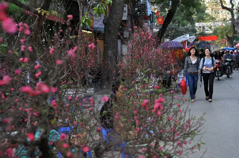 Thành phố trang hoàng đón xuân tại khu vực Hồ Hoàn Kiếm. Chị công nhân chăm sóc hoa tại vườn hồng. Đào được chở tấp nập trên đường phố. Hai cô gái dạo chơi chợ hoa Hàng Lược. Chợ hoa mới trên đường Lạc Long Quân tưng bừng trong nắng xuân. Hoa tươi được lung linh trong nắng tại một gian hàng chợ Quảng An. Phố Hàng Mã đông nghẹt người và xe. Năm Canh Dần chọn con hổ bằng giấy về treo có giá 90.000 đ. Anh Dũng ở Cầu Giấy đi mua hai cành đào giá 550.000 đồng. Đôi bạn trẻ đi tìm mua đồ trang trí trong nhà. Phố bánh kẹo Hàng Buồm nhộn nhịp khách. Rửa lá dong gói bánh chưng tại một gia đình ở quận Tây Hồ.