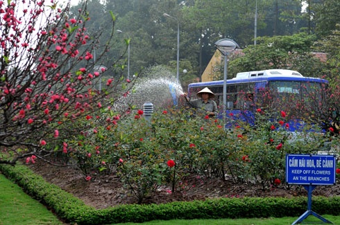 Thành phố trang hoàng đón xuân tại khu vực Hồ Hoàn Kiếm. Chị công nhân chăm sóc hoa tại vườn hồng. Đào được chở tấp nập trên đường phố. Hai cô gái dạo chơi chợ hoa Hàng Lược. Chợ hoa mới trên đường Lạc Long Quân tưng bừng trong nắng xuân. Hoa tươi được lung linh trong nắng tại một gian hàng chợ Quảng An. Phố Hàng Mã đông nghẹt người và xe. Năm Canh Dần chọn con hổ bằng giấy về treo có giá 90.000 đ. Anh Dũng ở Cầu Giấy đi mua hai cành đào giá 550.000 đồng. Đôi bạn trẻ đi tìm mua đồ trang trí trong nhà. Phố bánh kẹo Hàng Buồm nhộn nhịp khách. Rửa lá dong gói bánh chưng tại một gia đình ở quận Tây Hồ.