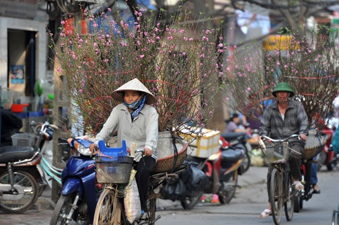 Thành phố trang hoàng đón xuân tại khu vực Hồ Hoàn Kiếm. Chị công nhân chăm sóc hoa tại vườn hồng. Đào được chở tấp nập trên đường phố. Hai cô gái dạo chơi chợ hoa Hàng Lược. Chợ hoa mới trên đường Lạc Long Quân tưng bừng trong nắng xuân. Hoa tươi được lung linh trong nắng tại một gian hàng chợ Quảng An. Phố Hàng Mã đông nghẹt người và xe. Năm Canh Dần chọn con hổ bằng giấy về treo có giá 90.000 đ. Anh Dũng ở Cầu Giấy đi mua hai cành đào giá 550.000 đồng. Đôi bạn trẻ đi tìm mua đồ trang trí trong nhà. Phố bánh kẹo Hàng Buồm nhộn nhịp khách. Rửa lá dong gói bánh chưng tại một gia đình ở quận Tây Hồ.