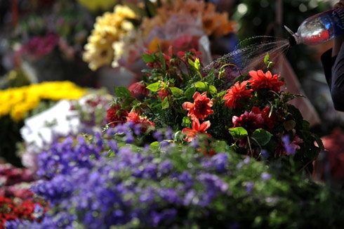 Thành phố trang hoàng đón xuân tại khu vực Hồ Hoàn Kiếm. Chị công nhân chăm sóc hoa tại vườn hồng. Đào được chở tấp nập trên đường phố. Hai cô gái dạo chơi chợ hoa Hàng Lược. Chợ hoa mới trên đường Lạc Long Quân tưng bừng trong nắng xuân. Hoa tươi được lung linh trong nắng tại một gian hàng chợ Quảng An. Phố Hàng Mã đông nghẹt người và xe. Năm Canh Dần chọn con hổ bằng giấy về treo có giá 90.000 đ. Anh Dũng ở Cầu Giấy đi mua hai cành đào giá 550.000 đồng. Đôi bạn trẻ đi tìm mua đồ trang trí trong nhà. Phố bánh kẹo Hàng Buồm nhộn nhịp khách. Rửa lá dong gói bánh chưng tại một gia đình ở quận Tây Hồ.