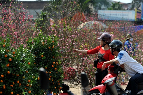 Thành phố trang hoàng đón xuân tại khu vực Hồ Hoàn Kiếm. Chị công nhân chăm sóc hoa tại vườn hồng. Đào được chở tấp nập trên đường phố. Hai cô gái dạo chơi chợ hoa Hàng Lược. Chợ hoa mới trên đường Lạc Long Quân tưng bừng trong nắng xuân. Hoa tươi được lung linh trong nắng tại một gian hàng chợ Quảng An. Phố Hàng Mã đông nghẹt người và xe. Năm Canh Dần chọn con hổ bằng giấy về treo có giá 90.000 đ. Anh Dũng ở Cầu Giấy đi mua hai cành đào giá 550.000 đồng. Đôi bạn trẻ đi tìm mua đồ trang trí trong nhà. Phố bánh kẹo Hàng Buồm nhộn nhịp khách. Rửa lá dong gói bánh chưng tại một gia đình ở quận Tây Hồ.