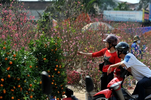 Thành phố trang hoàng đón xuân tại khu vực Hồ Hoàn Kiếm. Chị công nhân chăm sóc hoa tại vườn hồng. Đào được chở tấp nập trên đường phố. Hai cô gái dạo chơi chợ hoa Hàng Lược. Chợ hoa mới trên đường Lạc Long Quân tưng bừng trong nắng xuân. Hoa tươi được lung linh trong nắng tại một gian hàng chợ Quảng An. Phố Hàng Mã đông nghẹt người và xe. Năm Canh Dần chọn con hổ bằng giấy về treo có giá 90.000 đ. Anh Dũng ở Cầu Giấy đi mua hai cành đào giá 550.000 đồng. Đôi bạn trẻ đi tìm mua đồ trang trí trong nhà. Phố bánh kẹo Hàng Buồm nhộn nhịp khách. Rửa lá dong gói bánh chưng tại một gia đình ở quận Tây Hồ.