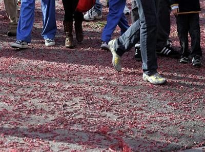 Dòng người đi lại trên nền xác pháo hồng