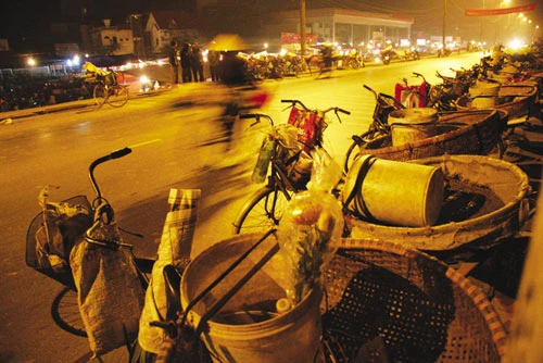 Chuyện ảnh: Xuân đưa làng vào phố ảnh 10