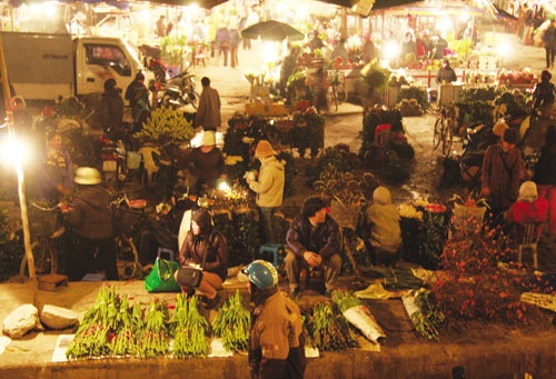 Chuyện ảnh: Xuân đưa làng vào phố ảnh 2