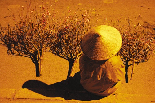 Chuyện ảnh: Xuân đưa làng vào phố ảnh 3