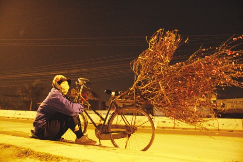 Chuyện ảnh: Xuân đưa làng vào phố ảnh 4