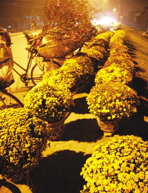 Chuyện ảnh: Xuân đưa làng vào phố ảnh 5