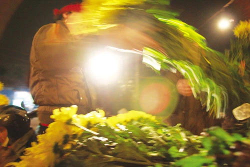 Chuyện ảnh: Xuân đưa làng vào phố ảnh 6