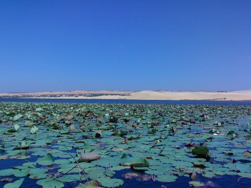 Du Xuân 3 miền ảnh 5 Du Xuân 3 miền ảnh 5