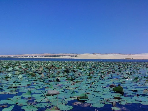 Du Xuân 3 miền ảnh 5